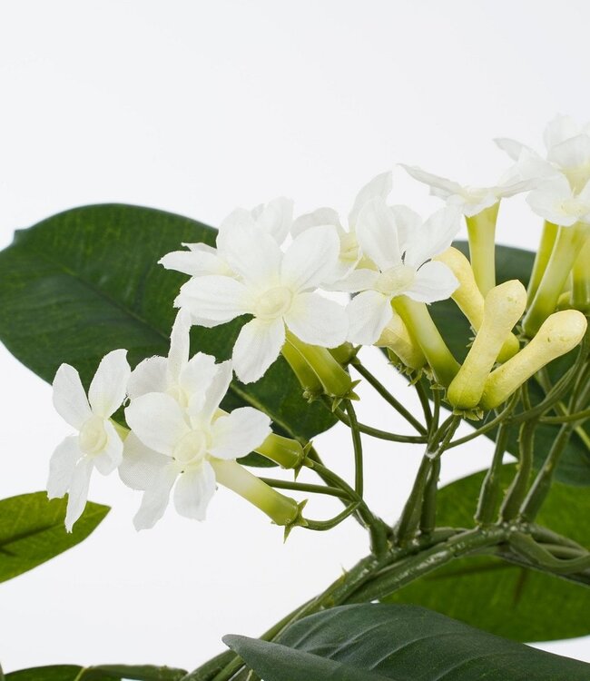 Kunstplant Wit 1Polyester