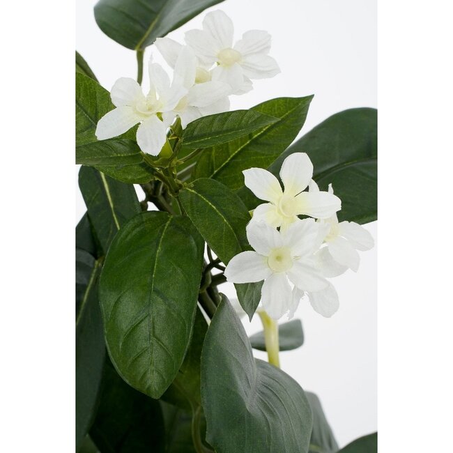 Mica Decorations Artificial Stephanotis Plant - White - H50 cm