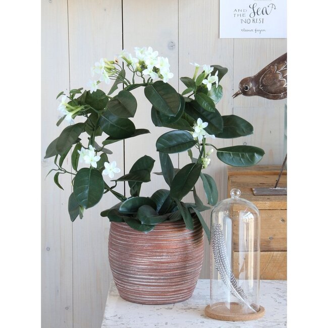 Mica Decorations Artificial Stephanotis Plant - White - H50 cm