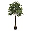 Mica Decorations Kunstplant Groen 1Polyester