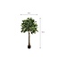 Mica Decorations Artificial Pachira Plant - Green