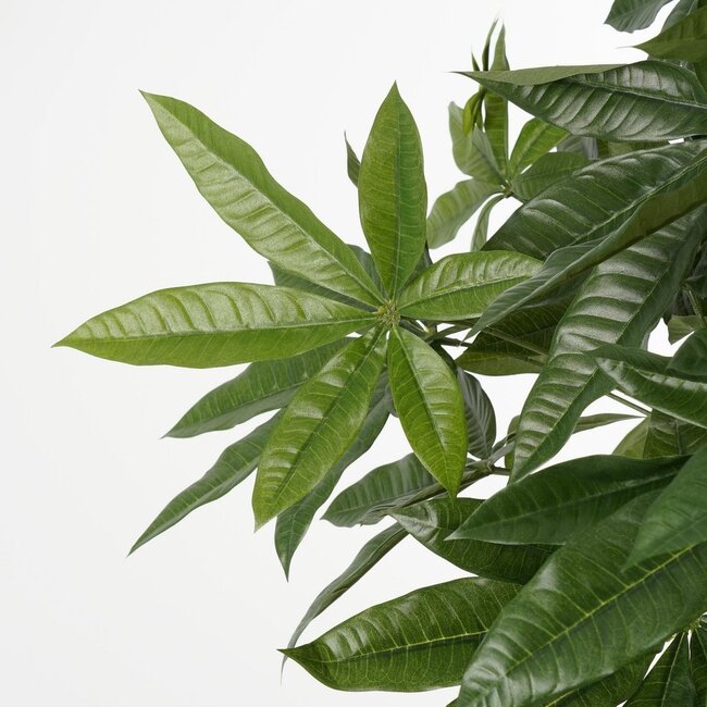 Kunstplant Groen 1Polyester