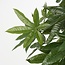 Mica Decorations Artificial Pachira Plant - Green