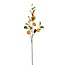 Mica Decorations Artificial Mandarin Stem - Orange - H104 cm