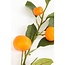 Mica Decorations Artificial Mandarin Stem - Orange - H104 cm