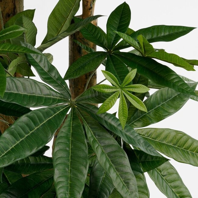 Mica Decorations Artificial Pachira Plant - Green