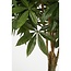 Mica Decorations Artificial Pachira Plant - Green