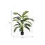 Mica Decorations Artificial Areca Palm - Green