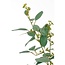 Mica Decorations Artificial Poplar Tree - Green