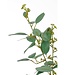 Kunstplant Groen 1Polyester