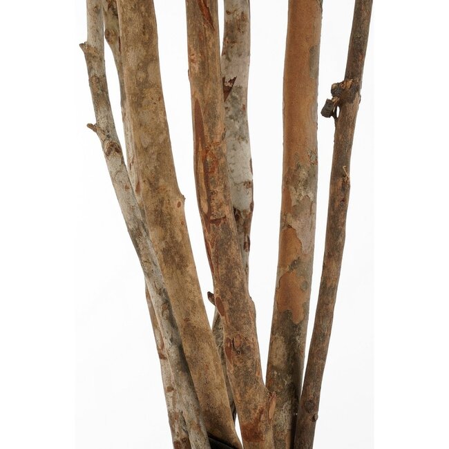 Kunstplant Groen 1Polyester