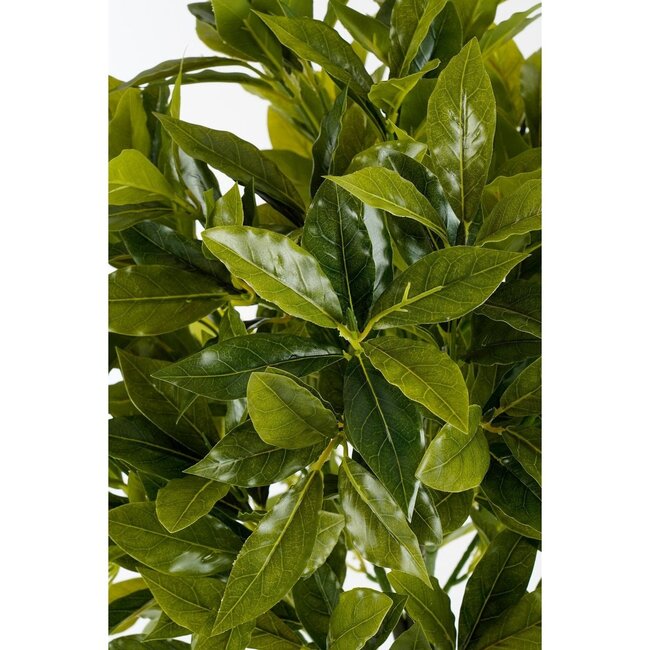 Mica Decorations Artificial Bay Tree - Green