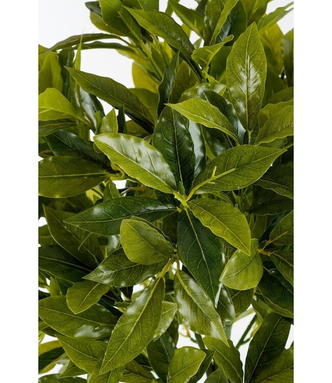 Kunstplant Groen 1Kunststof