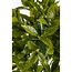 Mica Decorations Artificial Bay Tree - Green