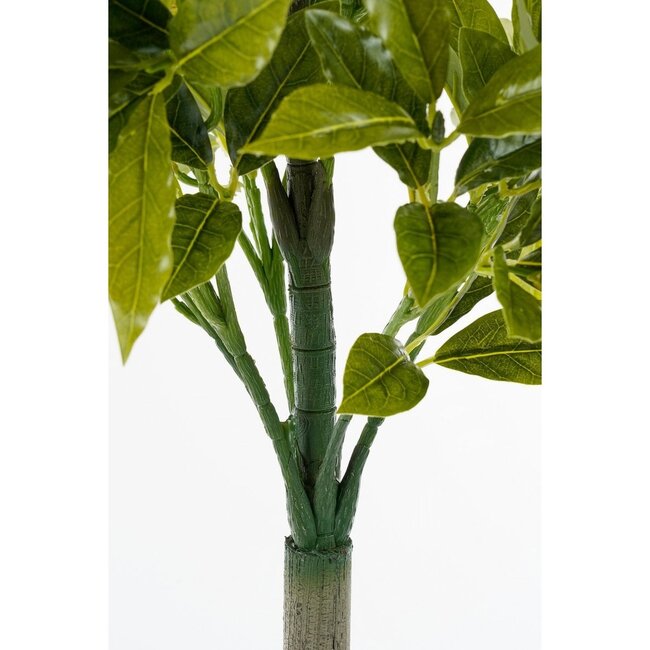 Mica Decorations Artificial Bay Tree - Green