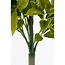 Kunstplant Groen 1Kunststof