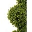 Mica Decorations Artificial Boxwood Tree - Green - H120 cm