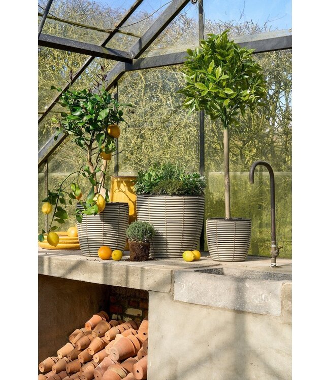 Kunstplant Groen 1Kunststof