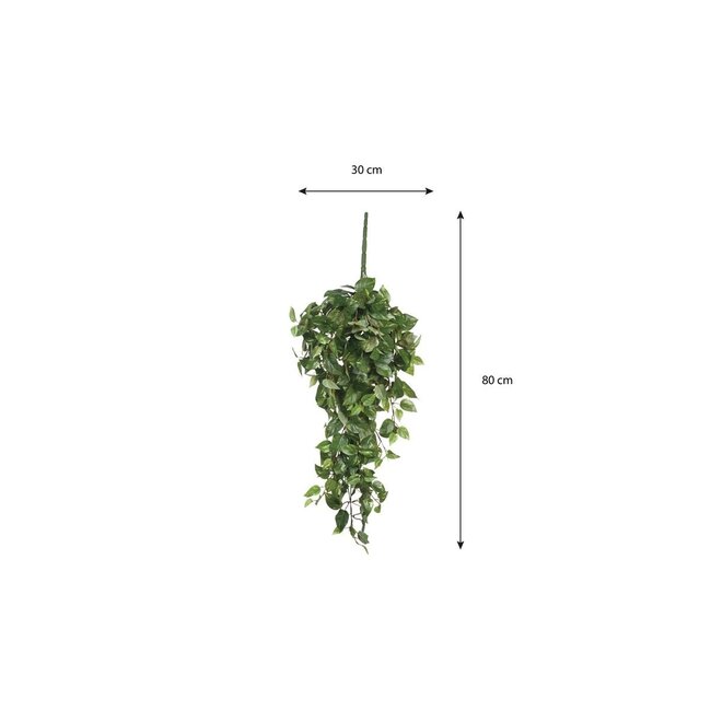 Mica Decorations Artificial Trailing Scindapsus - Green