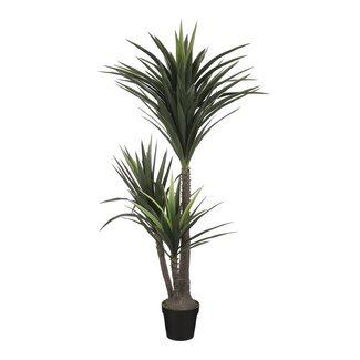 Mica Decorations Kunstplant Crème 1Polyester