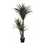 Mica Decorations Künstliche Yucca - Creme - H160 cm
