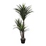 Mica Decorations Kunstplant Crème 1Polyester