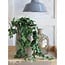 Mica Decorations Artificial Trailing Scindapsus - Green