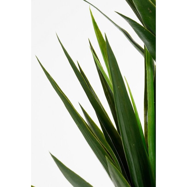 Kunstplant Crème 1Polyester