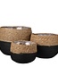 Plantenmand set Zwart 3Zeegras