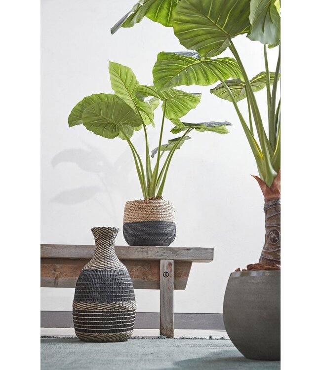 Plantenmand set Zwart 3Zeegras