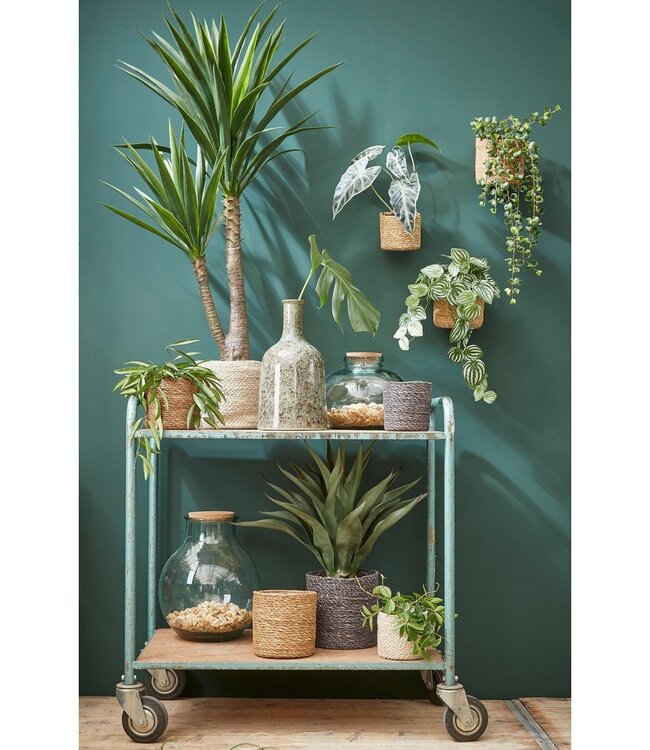 Plantenmand set Crème 2Jute