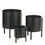 Mica Decorations Jessy Metal Plant Pots on Stands - Black - Set of 3