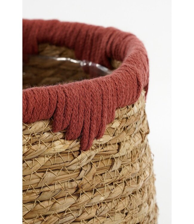 Plantenmand set Rood 3Zeegras