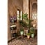 Mica Decorations Merlijn Plastic Outdoor Plant Baskets - Dark Brown - Set of 3
