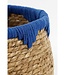 Plantenmand set Blauw 3Zeegras