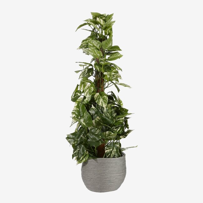 Mica Decorations Jorck Paper Plant Baskets - Grey - Set of 3