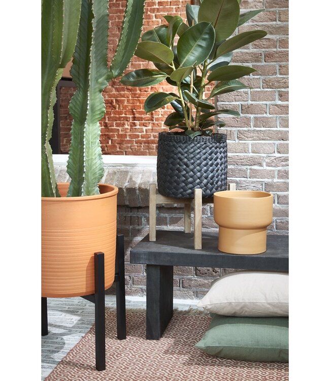 Plantenstandaard Zwart 1Ijzer