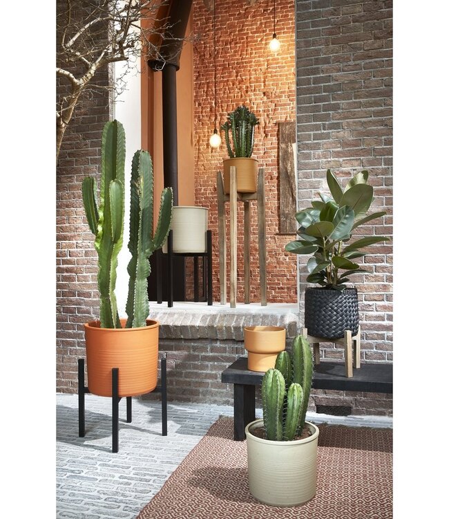 Plantenstandaard Zwart 1Ijzer