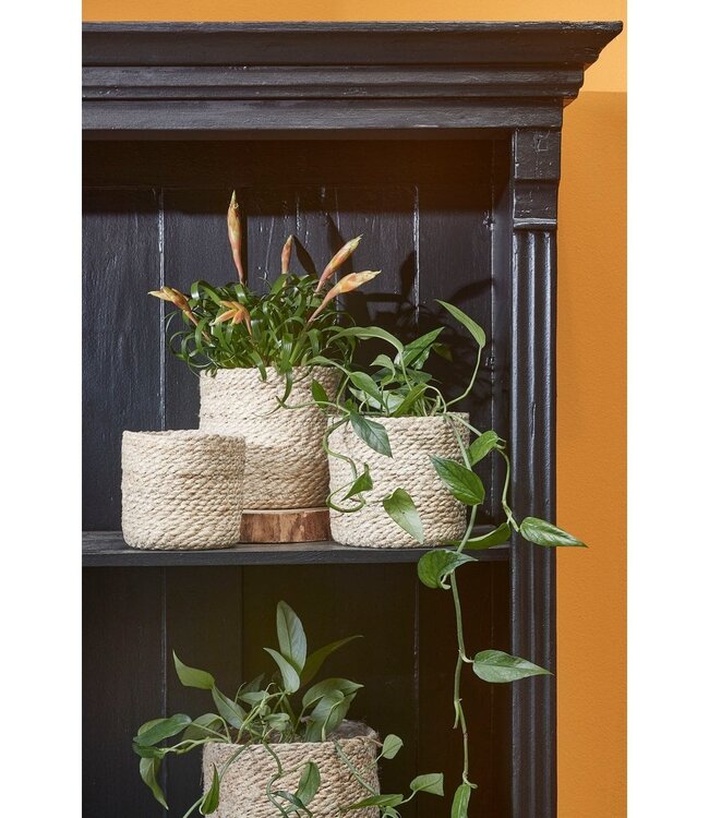 Plantenmand set Crème 3Jute