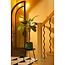 Mica Decorations Benson Iron Indoor Plant Pot - Dark Brown