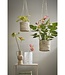 Plantenmand set Crème 2Jute
