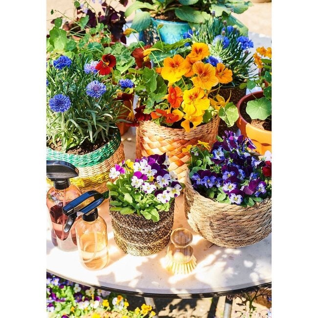 Mica Decorations Jorck Seagrass Plant Basket - Light Brown - H19 × Ø22 cm
