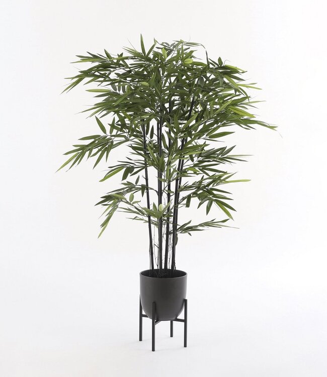 Plantenstandaard Zwart 1Ijzer