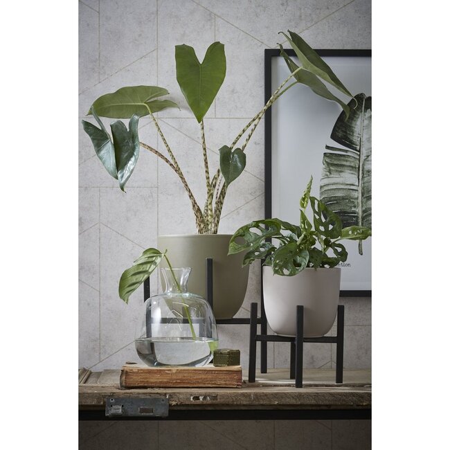 Plantenstandaard Zwart 1Ijzer