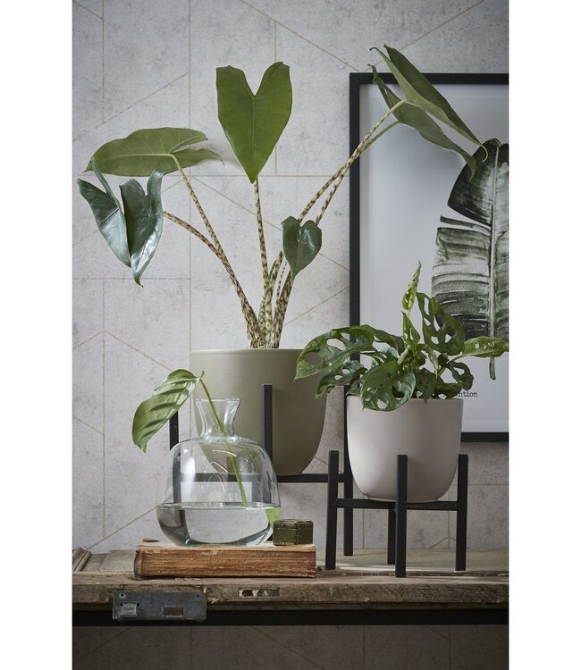 Plantenstandaard Zwart 1Ijzer