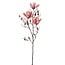 Mica Decorations Artificial Magnolia Stem - Pink