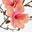 Mica Decorations Artificial Magnolia Stem - Pink