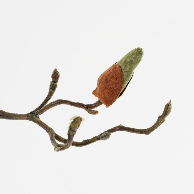Mica Decorations Artificial Magnolia Stem - Pink