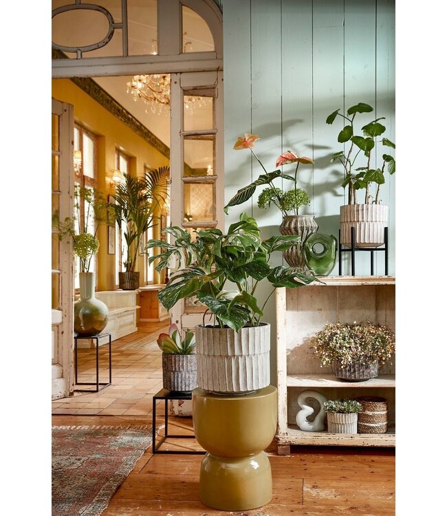 Plantenstandaard Zwart 1Ijzer