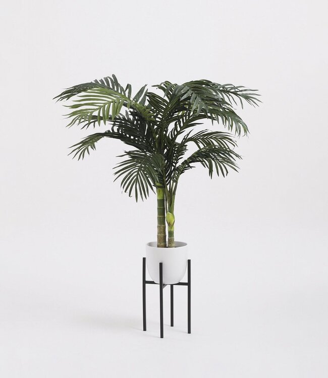 Plantenstandaard Zwart 1Ijzer